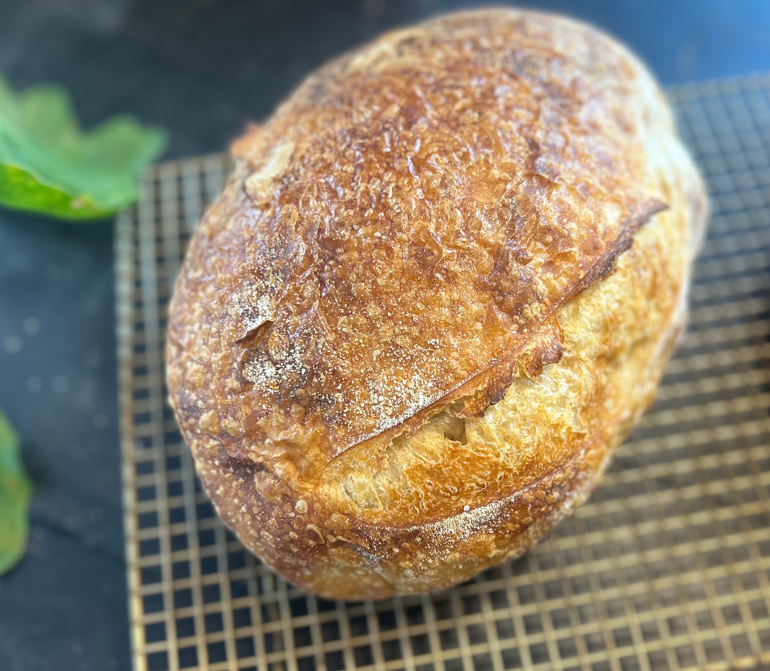 Classic Sourdough